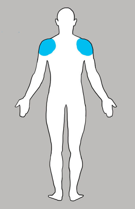 image (10) (451x700, 18Kb)