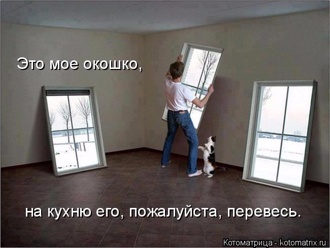 kotomatritsa__ (650x489, 186Kb)