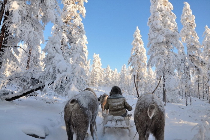 krasivaya-russia-31 (700x465, 143Kb)