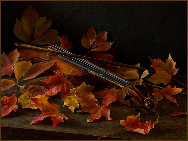 скрипка с листьями (600x451, 149Kb)