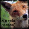 avatara_text_prosek (98x98, 10Kb)