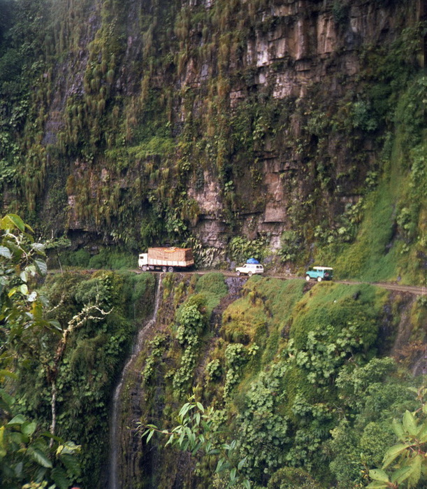 Bolivia_Yunga_Road-6 (611x700, 216Kb)