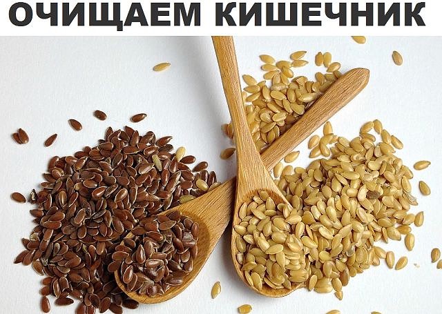Лен семена как чистить кишечник Лен семена как чистить кишечник