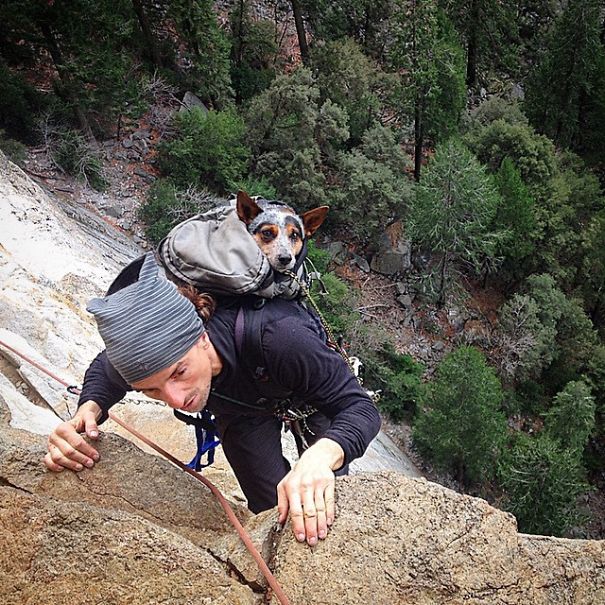 4954089_campingwithdogryancarter24__605 (605x605, 127Kb)