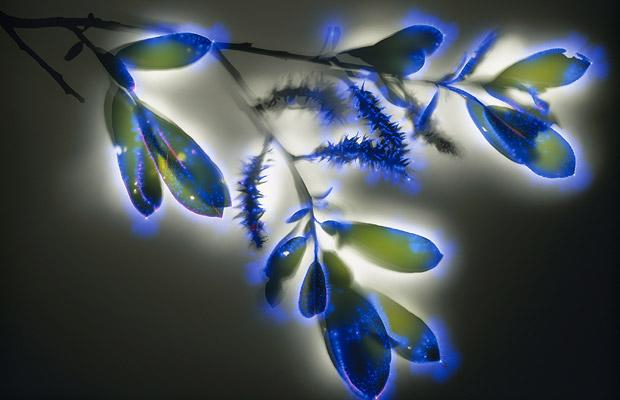 Robert Beutleman1 (620x400, 144Kb)