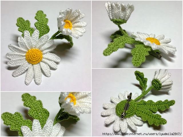 97731119_large_camomile_06 (640x480, 268Kb)