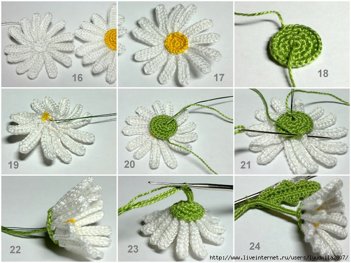 97731383_large_camomile_04 (1) (700x525, 326Kb)