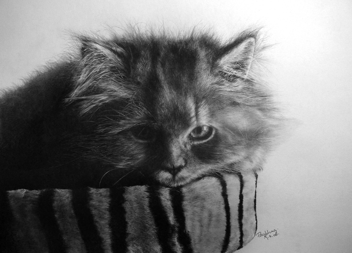 my_9th_pcs_of_cat_drawing_by_paullung (700x504, 201Kb)