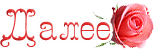 5230261_s_roz (155x49, 15Kb)