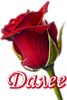 5230261_dalee_kr_roza (67x100, 13Kb)