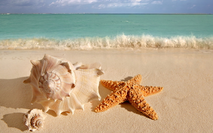3407372_8497 (700x437, 161Kb)