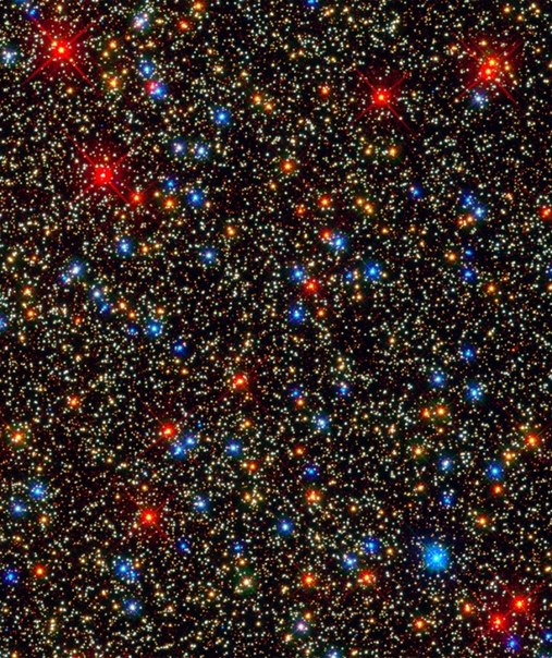 1364820869_11 (507x604, 158Kb)