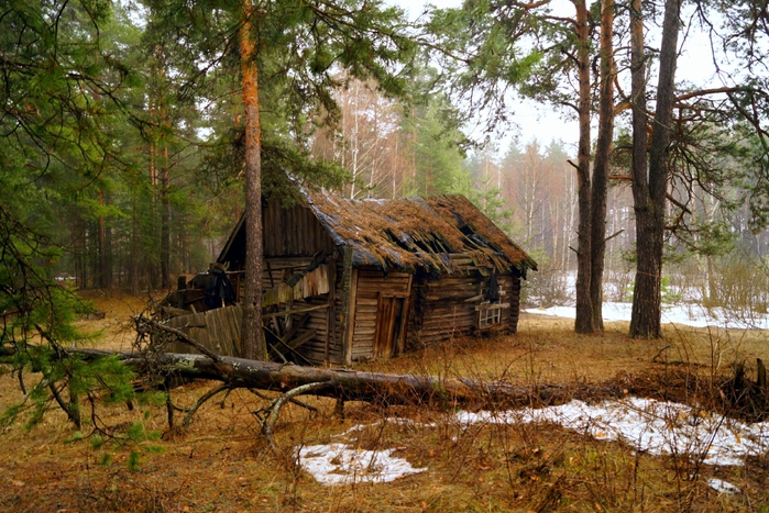 http://img0.liveinternet.ru/images/attach/c/8/99/32/99032986_0_9f0bc_9c844c61_2orig.jpg