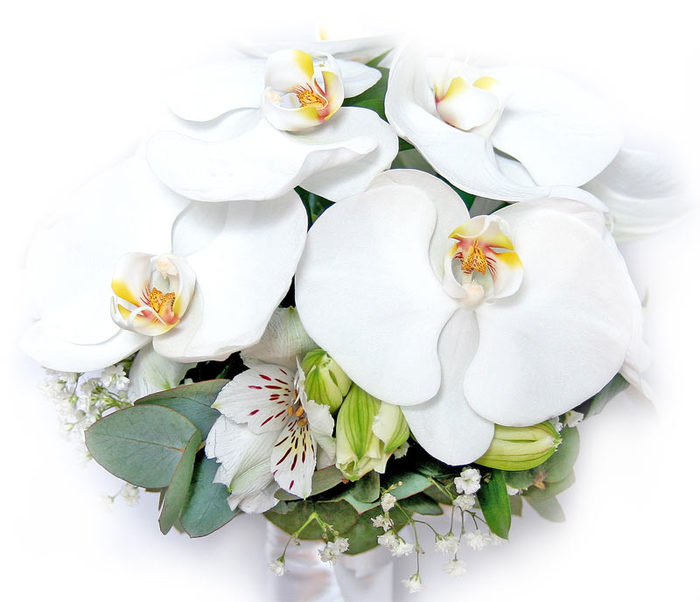 77842672_large_3407372_1 (700x602, 57Kb)