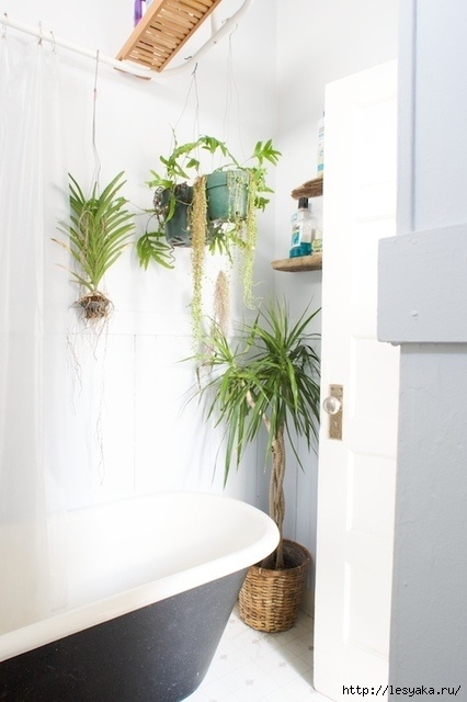 bathroom-design-ideas-with-plants-and-flowers-ideal-for-spring-23 (426x640, 125Kb)