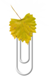 Превью Image25 (241x374, 70Kb)