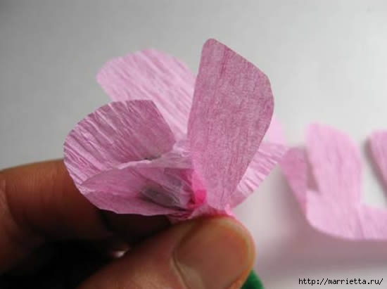 цветы из гофрированной бумаги (11) (550x411, 58Kb)