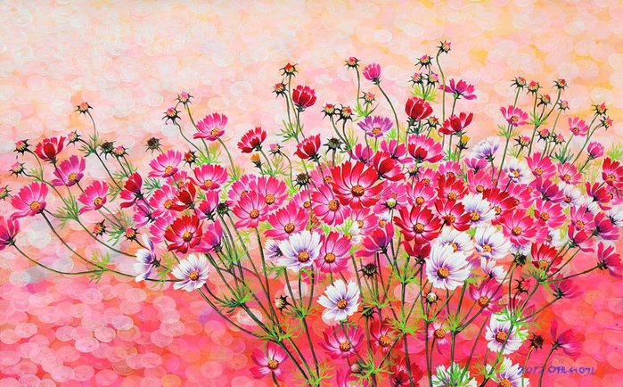 цветы космеи Won Seong Gi 1 (700x434, 114Kb)
