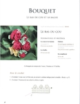 Превью Bijoux au crochet_19 (541x700, 156Kb)