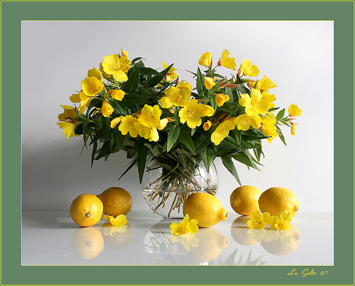 Натюрморты Желтые цветы 2451468 (700x563, 261Kb)