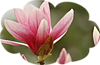 0_a0f10_e353a2ea_XS.png.jpg (100x65, 14Kb)