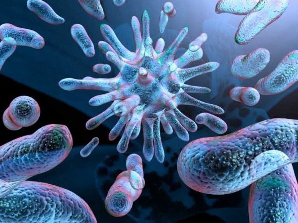 Микробы. 16 доводов в их пользу