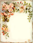  flowerpictures00ange_0100 (401x512, 87Kb)