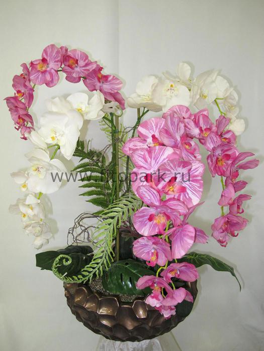 орхидеи в вазе 
