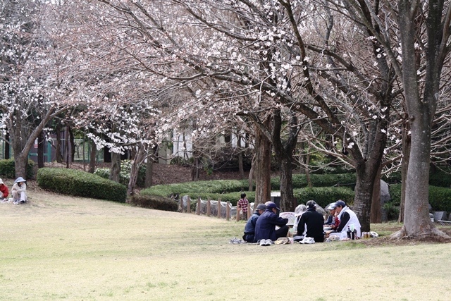 IMG_0732 (640x427, 211Kb)