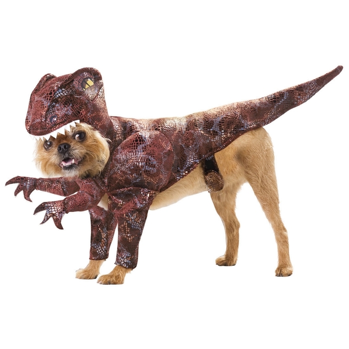 Animal Planet Raptor Dog Costume (700x700, 158Kb)