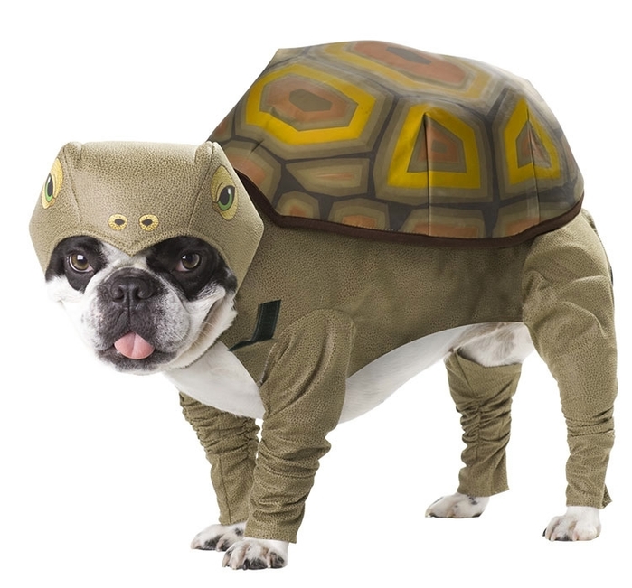 Animal Planet Tortoise Dog Costume (700x651, 206Kb)