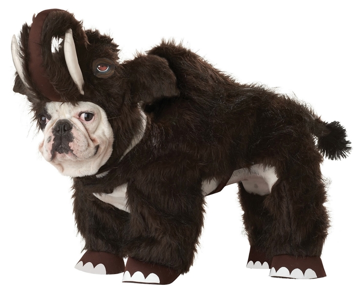 Animal Planet Woolly Mammoth Dog Costume (700x569, 184Kb)