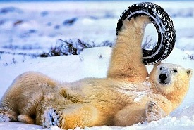winter_tyres_2013-2014 (275x185, 69Kb)