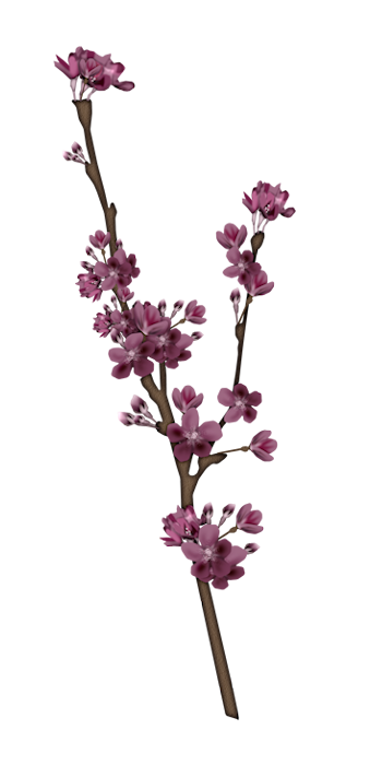 Raspberry Sky _Flowers branch_Scrap and Tubes (350x700, 138Kb)