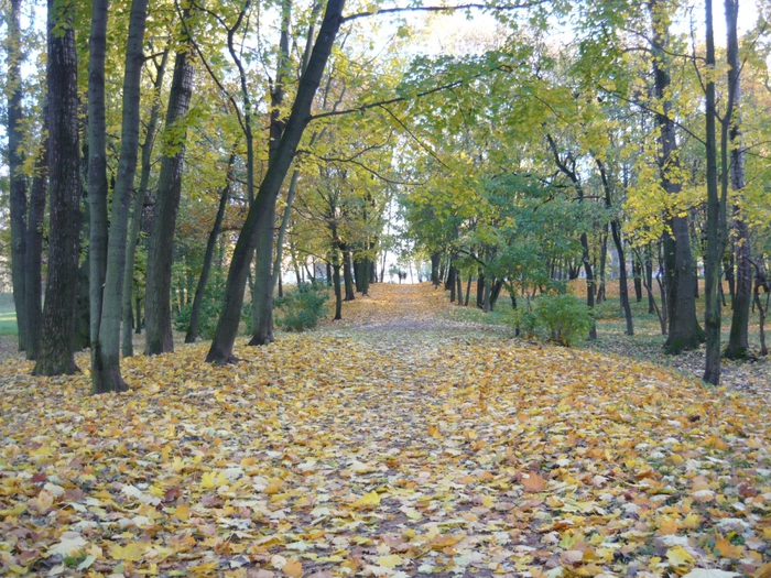 4867606_P1080749 (700x525, 401Kb)