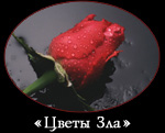 logo (150x121, 8Kb)