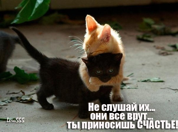 http://img0.liveinternet.ru/images/attach/c/9/105/462/105462370_large_dajBRpAvzKs.jpg