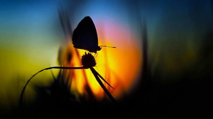 1380270770_allfonsru25439 (700x394, 55Kb)