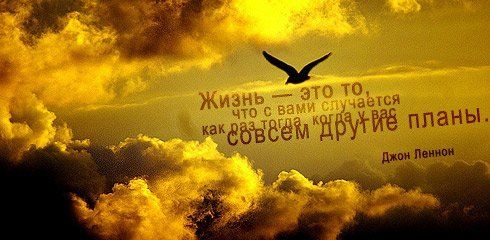 1343360211_tsitatj1 (490x240, 93Kb)