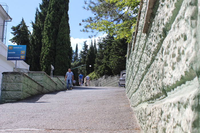 IMG_3394 (700x466, 138Kb)
