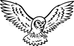  3476461-178683-flying-owl-for-mascot-or-emblem-design-isolated-on-white-background (480x296, 77Kb)