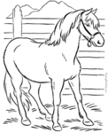 Превью 011-animal-page-horse-to-print (571x700, 72Kb)