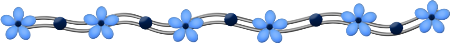 0_79bef_de84724d_L (450x43, 33Kb)
