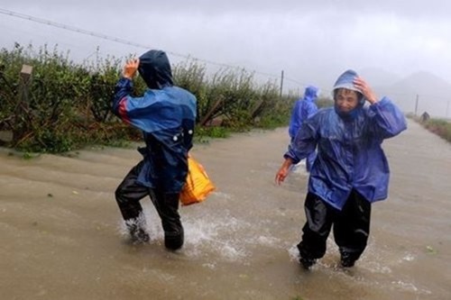 Тайфун «Фитоу» в Китае