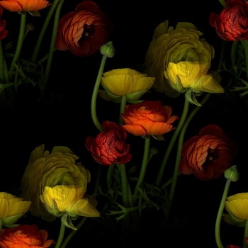 1 (235) (350x350, 67Kb)