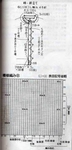  1.2 -  (336x700, 146Kb)