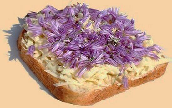 edible-flowers-food-decoration-ideas-13 (550x344, 137Kb)