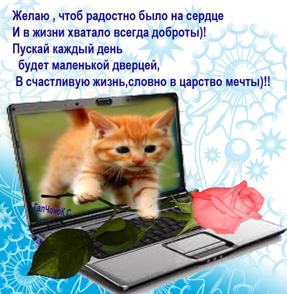 Поздравление я не буду желать тебе здоровья Поздравление я не буду желать тебе здоровья