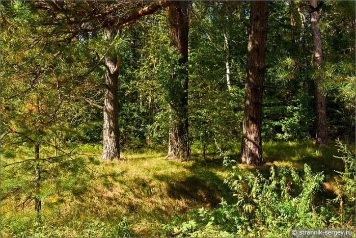 original (5) (700x467, 352Kb)