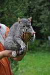 Превью DSC_0646 (465x700, 251Kb)
